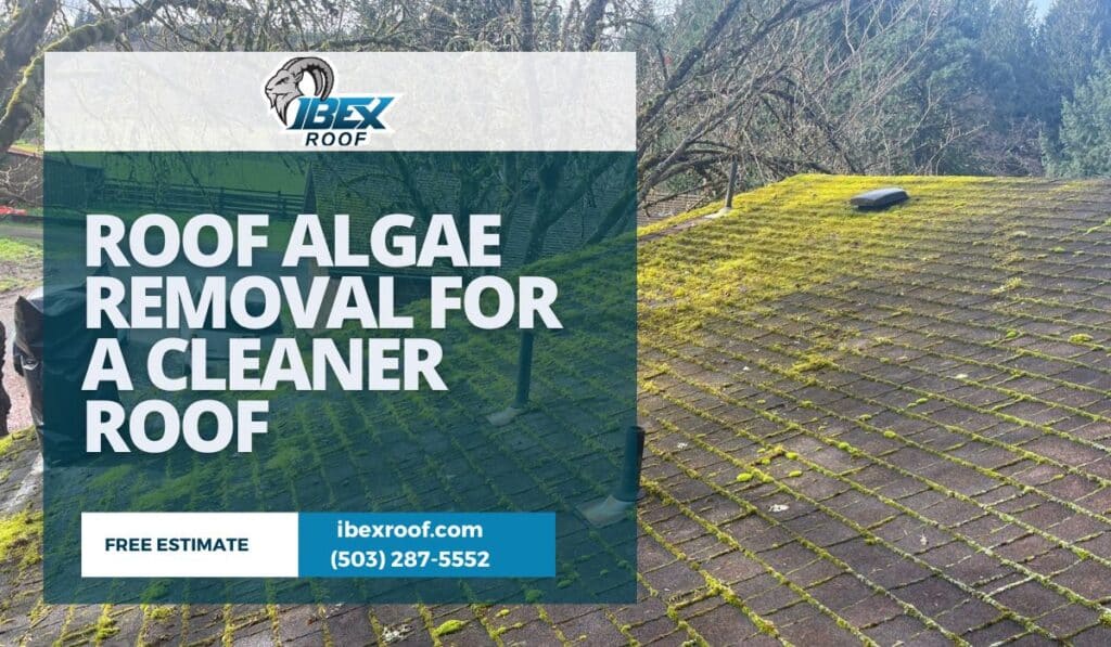 A roof with visible algae and moss growth for a roof algae removal service in Oregon